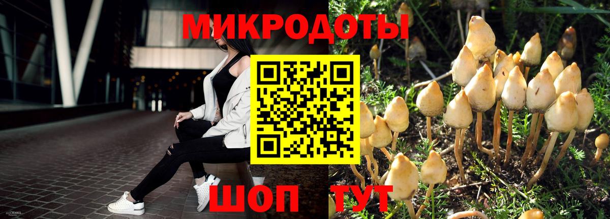 Галлюциногенные грибы MAGIC MUSHROOMS Ливны