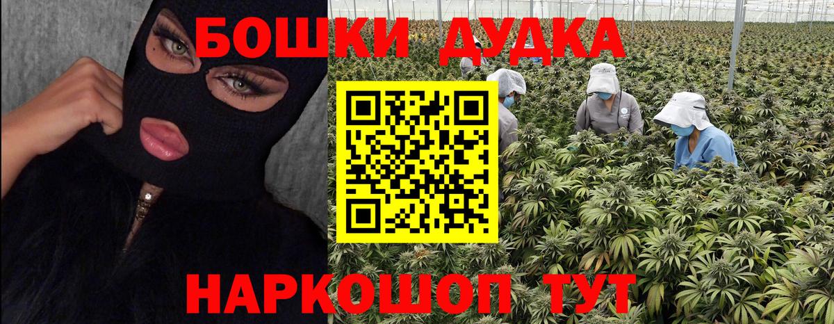 Каннабис конопля Ливны